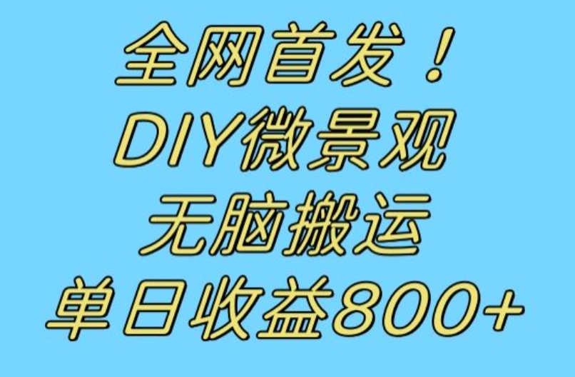 全网首发冷门赛道！DIY微景观，无脑搬运视频，日收益800+【揭秘】-问小徐资源库