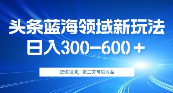 AI头条野路子蓝海领域新玩法2.0，日入300-600＋，附保姆级教程【揭秘】-问小徐资源库