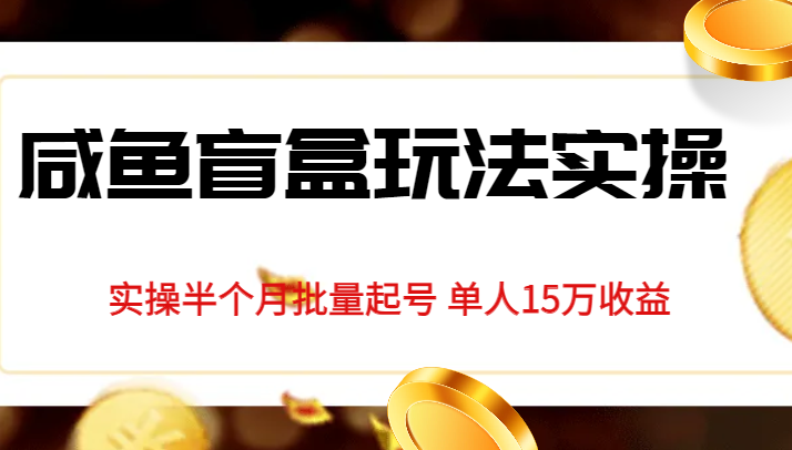 独家首发咸鱼盲盒玩法实操，半个月批量起号单人15万收益揭秘-问小徐资源库