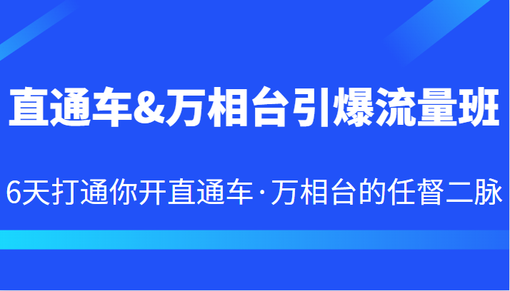 直通车&万相台引爆流量班 6天打通你开直通车·万相台的任督二脉-问小徐资源库