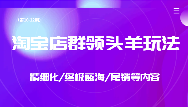 淘宝店群领头羊玩法，精细化/终极蓝海/尾销等内容-问小徐资源库