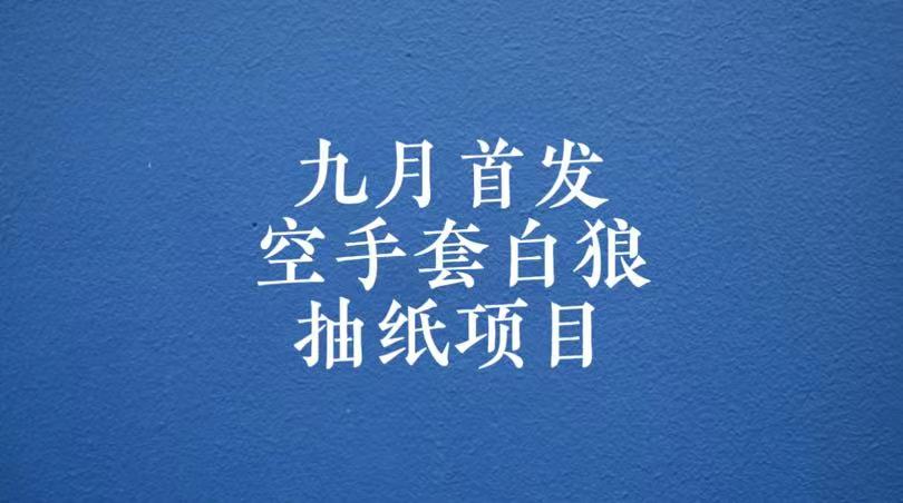 0成本，日入100-500空手套白狼抽纸项目，保姆级教学-问小徐资源库