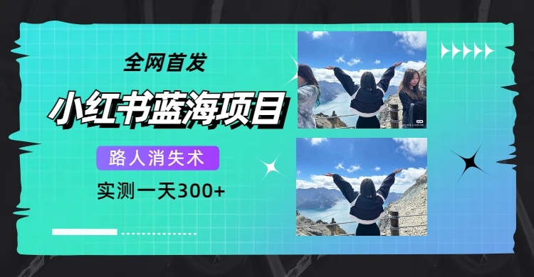 全网首发，小红书蓝海项目，路人消失术，实测一天300+（教程+工具）-问小徐资源库