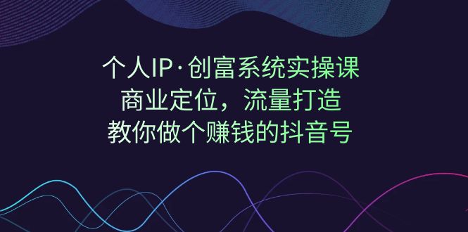 个人IP·创富系统实操课：商业定位，流量打造，教你做个赚钱的抖音号-问小徐资源库