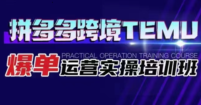 拼多多跨境TEMU爆单运营实操培训班 海外拼多多的选品、运营、爆单-问小徐资源库