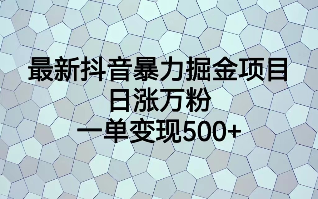 最新抖音暴力掘金项目，日涨万粉，一单变现500+-问小徐资源库