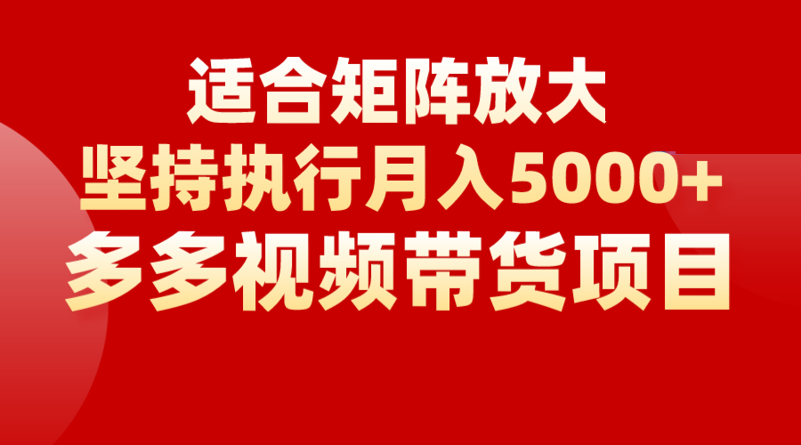 矩阵操作月入5000+，多多视频带货项目，适合新手，也适合老手放大-问小徐资源库