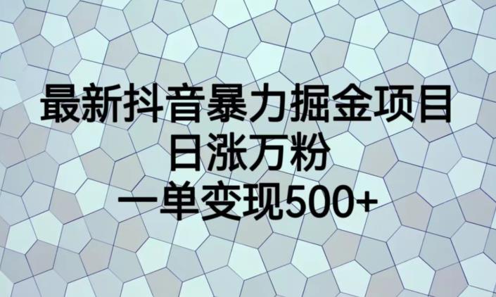 最新抖音暴力掘金项目，日涨万粉，一单变现500+【揭秘】-问小徐资源库