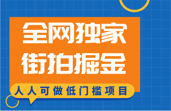 全网独家一街拍掘金，低门槛人人可做的赚钱项目-问小徐资源库