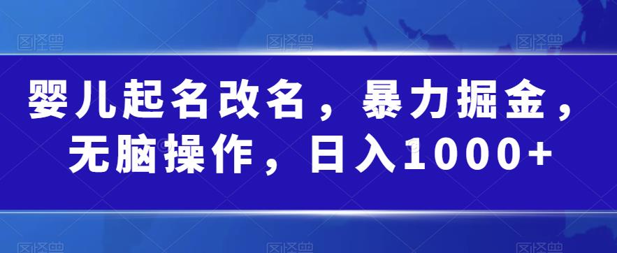 婴儿起名改名，暴力掘金，无脑操作，日入1000+【揭秘】-问小徐资源库