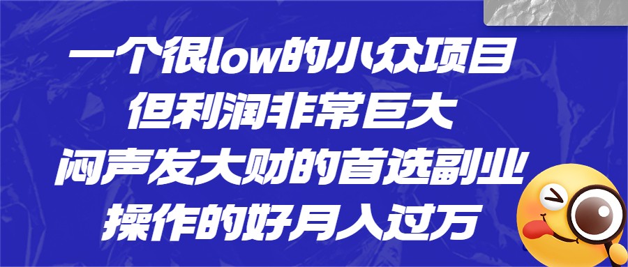 一个很low的小众项目，但利润非常巨大，闷声发大财的首选副业，操作的好月入过万-问小徐资源库