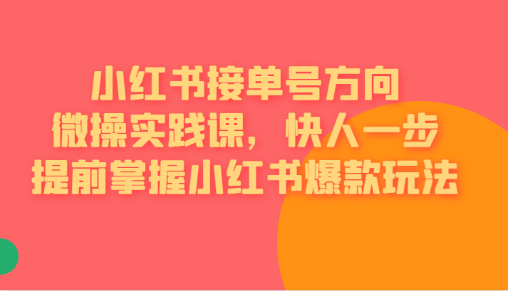 红书接单号方向微操实践课，快人一步提前掌握小红书爆款玩法-问小徐资源库