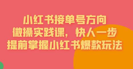接单号方向·小红书微操实践课，快人一步，提前掌握小红书爆款玩法-问小徐资源库