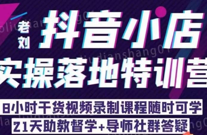 老刘·抖店商品卡流量，​抖音小店实操落地特训营，8小时干货视频录制课程随时可学-问小徐资源库