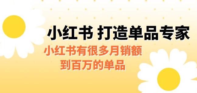 某公众号付费文章《小红书打造单品专家》小红书有很多月销额到百万的单品-问小徐资源库