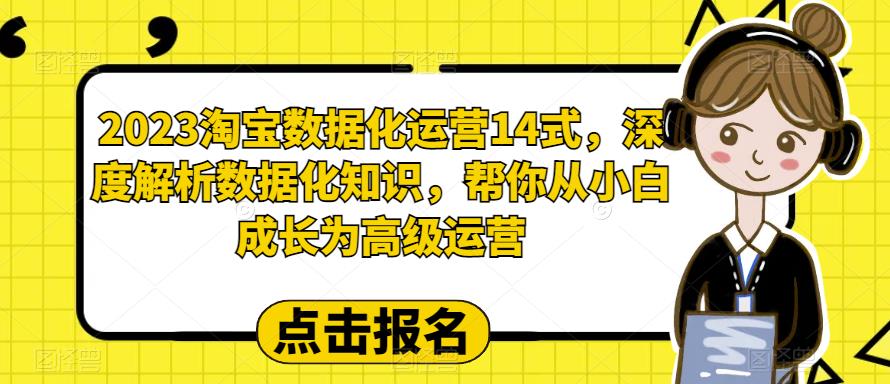 2023淘宝数据化运营14式，深度解析数据化知识，帮你从小白成长为高级运营-问小徐资源库