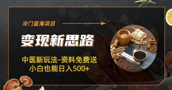 冷门蓝海项目-中医新玩法-资料免费送小白也能日入500+【揭秘】-问小徐资源库