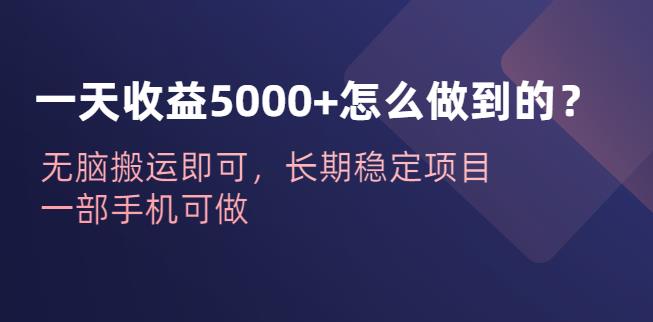 一天收益5000+怎么做到的？无脑搬运即可，长期稳定项目，一部手机可做【揭秘】-问小徐资源库