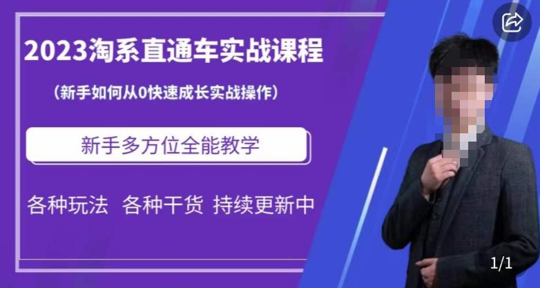 2023淘系直通车保姆式运营讲解，新手如何从0快速成长实战操作，新手多方位全能教学-问小徐资源库