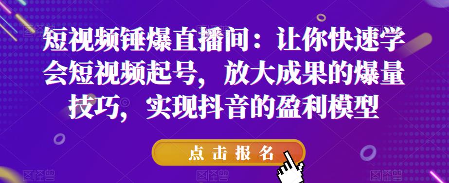 短视频锤爆直播间：让你快速学会短视频起号，放大成果的爆量技巧，实现抖音的盈利模型-问小徐资源库