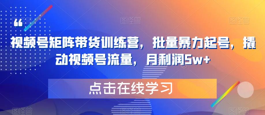 视频号矩阵带货训练营，批量暴力起号，撬动视频号流量，月利润5w+-问小徐资源库