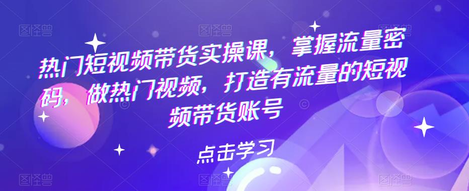 热门短视频带货实操课，掌握流量密码，做热门视频，打造有流量的短视频带货账号-问小徐资源库